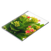 カランチョーブロスフェルディアナ ノートブック (左側)