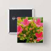 カランチョーブロスフェルディアナ 缶バッジ (正面&裏面)