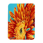 カラーのバーストI マグネット (縦)