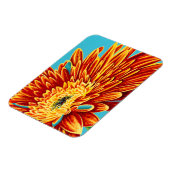 カラーのバーストI マグネット (左側)