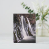 カラーのバーニー秋 ポストカード (スタンド正面)