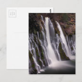 カラーのバーニー秋 ポストカード (正面/裏面)