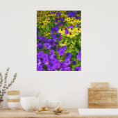 カラーのフィールドのポスター ポスター (キッチン)