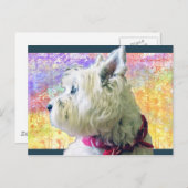 カラーのライリー ポストカード (正面/裏面)