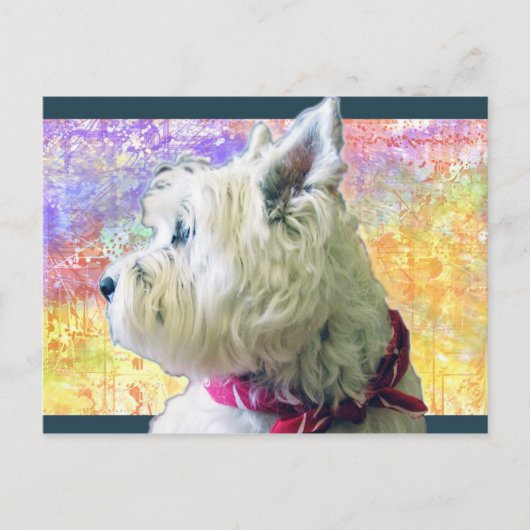 カラーのライリー ポストカード (正面)