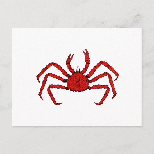 カラーイラストレーション ポストカード (正面)