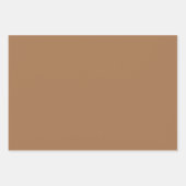 カラーエレガントズ – カフェオレイト ラッピングペーパーシート (正面)