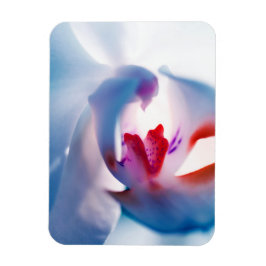 カラーオーキポップ・アートのッドデザインフレキシブルフォトマグネット マグネット