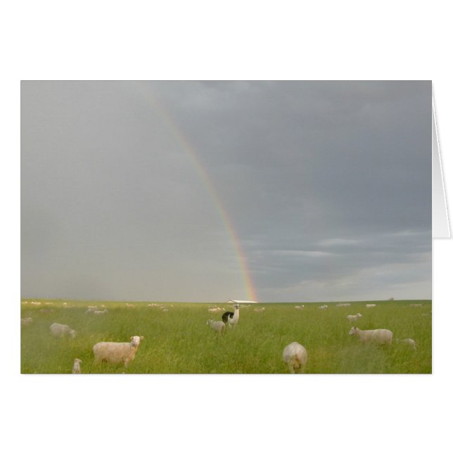 カラーガードカード (正面横)