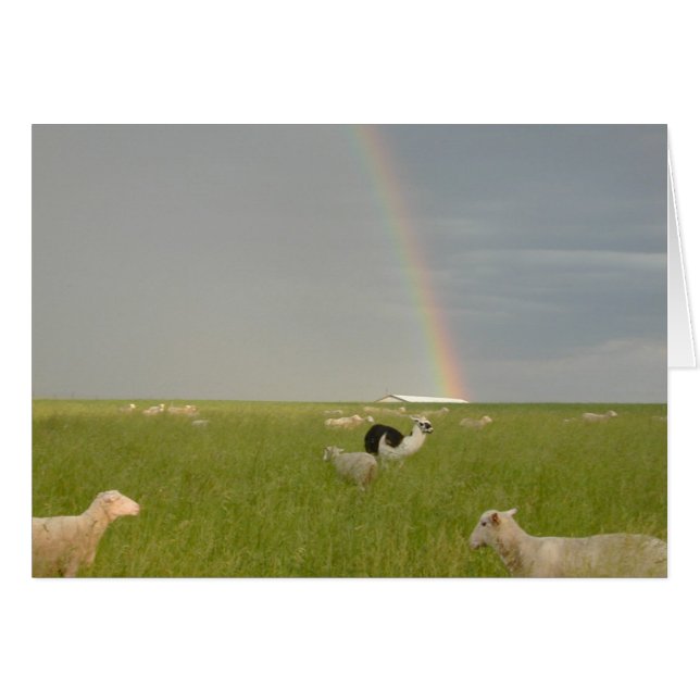 カラーガード2のカード (正面横)