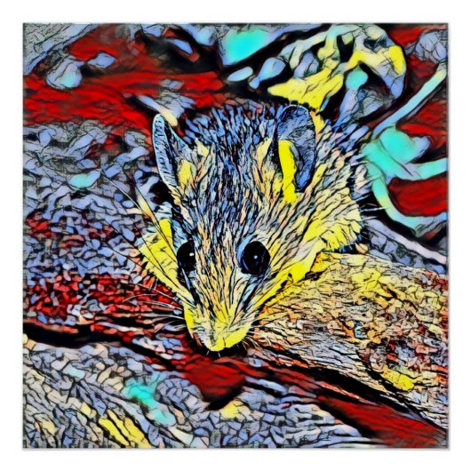 カラーキック – マウス ポスター (正面)