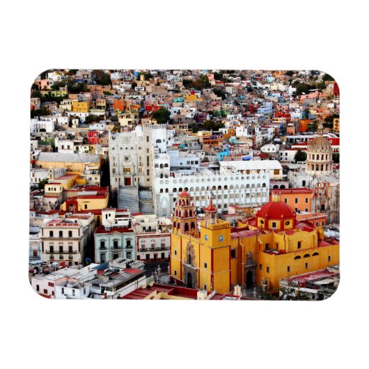 カラーコレクション マグネット (横)