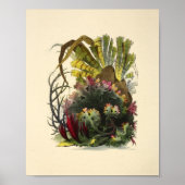 カラーコーラルアート海ガーデンアートプリント ポスター (正面)