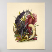 カラーコーラルアート海ガーデンアートプリント ポスター (正面)