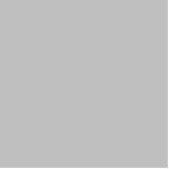 カラーシルバー フォトスカルプチャー<br><div class="desc">カラーシルバーC0C0C0</div>