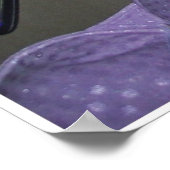 カラーストリップポーカー ポスター (角)