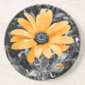 カラースプラッシュ春フラッシュアフリカデイジー写真 コースター (正面)