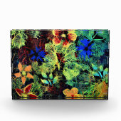 カラーズアクリルブロック フォトブロック (正面)