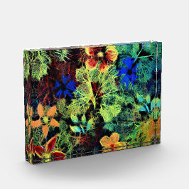 カラーズアクリルブロック フォトブロック