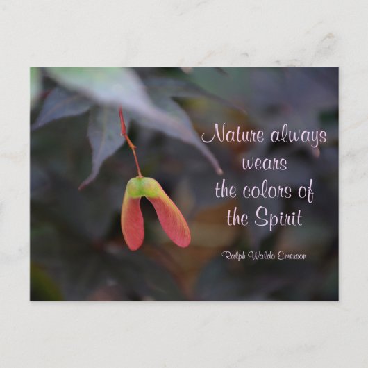カラーズオブ自然エマーソン引用文写真 ポストカード (正面)