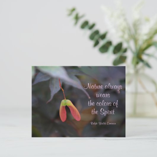 カラーズオブ自然エマーソン引用文写真 ポストカード (スタンド正面)