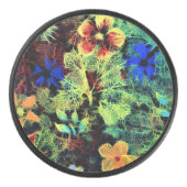 カラーズホッケーパックに入ってる アイスホッケーパック (正面)