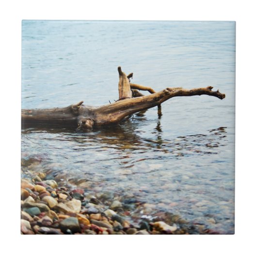 カラータイル タイル (正面)