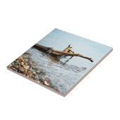 カラータイル タイル (側面)