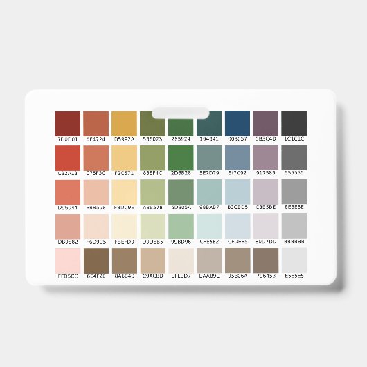 カラーテスト バッジ (正面)