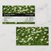 カラーバンド – 黒 – デイジー草原 名刺 (正面/裏面)