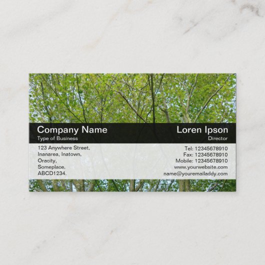 カラーバンド – 黒 – メ日本のエデ 名刺 (正面)