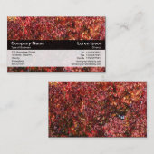 カラーバンド – 黒 – 紅葉 名刺 (正面/裏面)