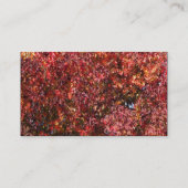 カラーバンド – 黒 – 紅葉 名刺 (裏面)