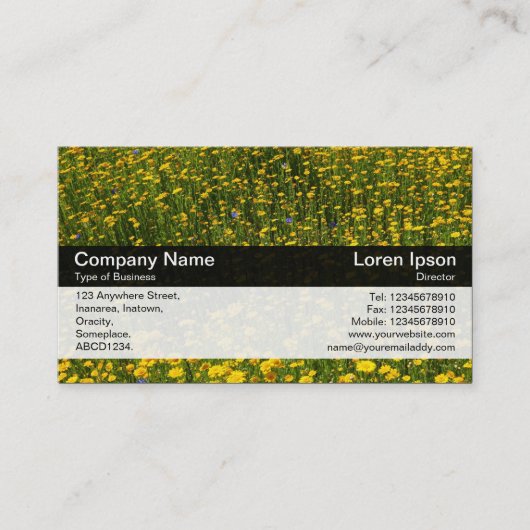 カラーバンド – 黒 – 黄色のデイジー 名刺 (正面)