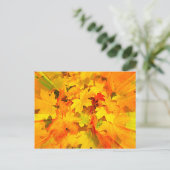 カラーバースト紅葉紅葉 ポストカード (スタンド正面)