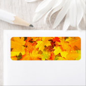 カラーバースト紅葉紅葉 ラベル (インサイチュ)