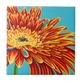 カラーバーストI タイル (正面)