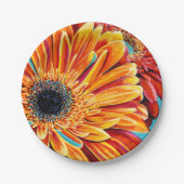 カラーバーストII ペーパープレート (正面)