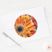 カラーバーストII ラウンドシール (封筒)