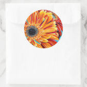 カラーバーストII ラウンドシール (バッグ)