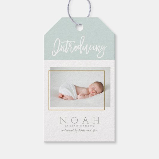 カラーパネルの誕生発表 ギフトタグ (正面)