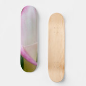 カラーパノ スケートボード (正面)