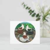 カラーピジョントリオ ポストカード (スタンド正面)