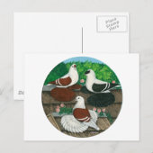 カラーピジョントリオ ポストカード (正面/裏面)