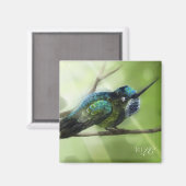 カラーフライ マグネット (正面/裏面)