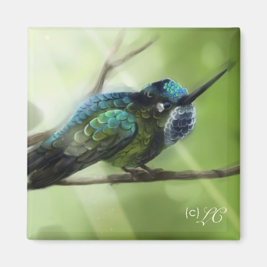 カラーフライ マグネット (正面)