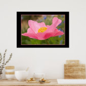 カラーフレームピンクポピー写真閉じる ポスター (キッチン)