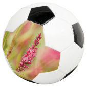 カラーブッシュ サッカーボール (3/4)