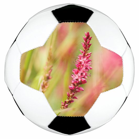 カラーブッシュ サッカーボール (正面)