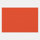 カラーブロックハッピーバースデー大事な行事 ラッピングペーパーシート (正面3)